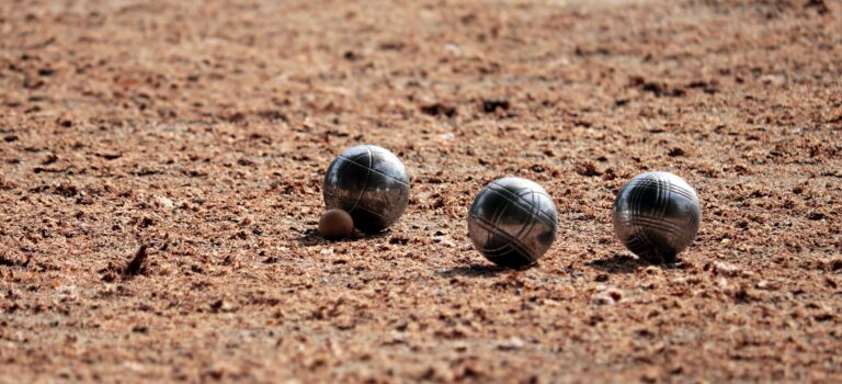 Pétanque insoumise : retour sur notre action aux Épinettes